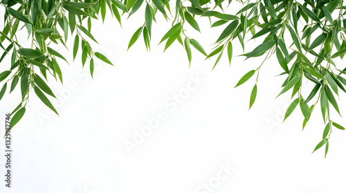 Lush bamboo foliage creating an organic frame effect on a transparent canvas background