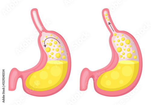Swimming pool top view. Olympic pool swimming. Paths dip pool top view. Vector stock