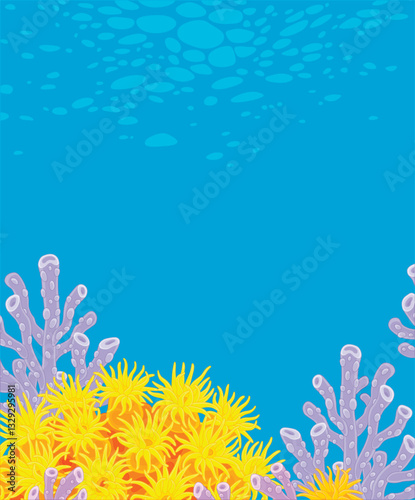 Underwater scene with colorful exotic corals on a reef in blue water of a tropical sea, vector cartoon illustration