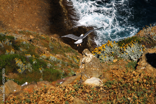 Moët volant au bord de falaise