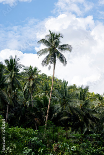 Wallpaper Mural View of vibrant palm trees on the island of Bohol, Philippines Torontodigital.ca