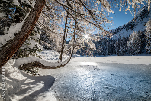 View of a tranquil winter landscape with snow-covered trees and a frozen lake, Preda, Graubunden, Switzerland. photo