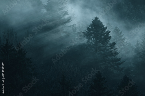 View of a mystical forest shrouded in fog with serene treetops, Hinwil, Zurich, Switzerland. photo