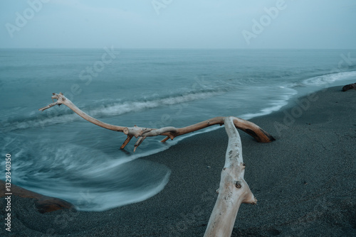 View of serene beach with driftwood and calm ocean waves, Ajaccio, Corsica, France.
