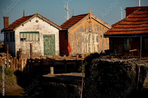 oleron  019 photo