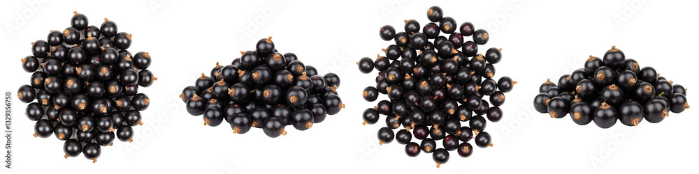Pile of Blackcurrants, Cut Out Set Pile of Blackcurrants, Cut Out Set