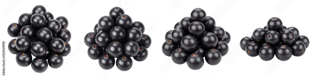 Pile of Maqui Berries, Cut Out Set Pile of Maqui Berries, Cut Out Set