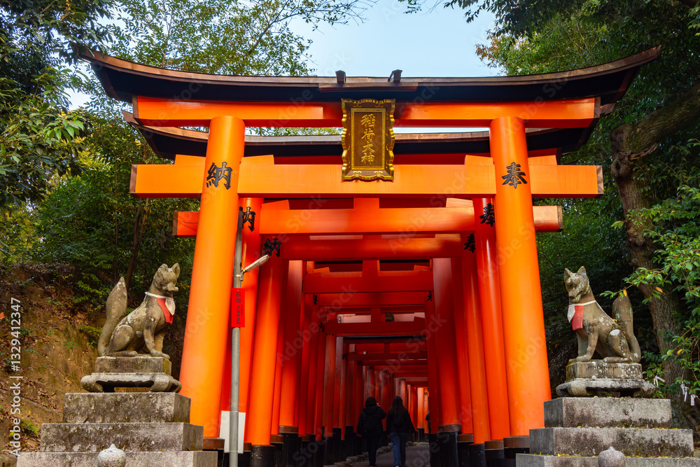 Torii gates of Fushimi Inari Taisha shrine in Kyoto, Japan