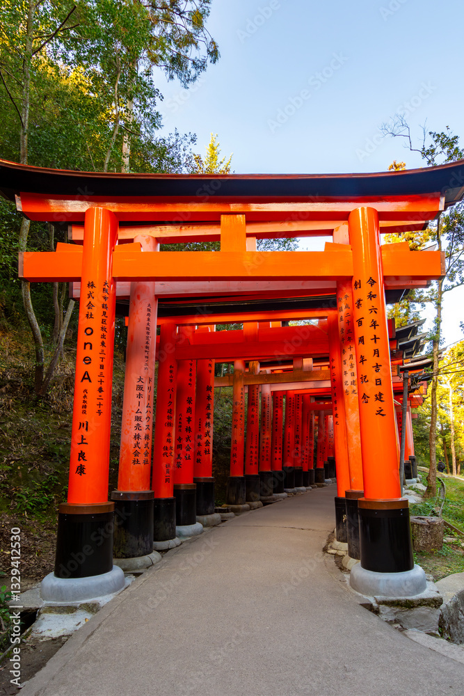 Torii gates of Fushimi Inari Taisha shrine in Kyoto, Japan