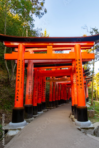 Obraz na płótnie Torii gates of Fushimi Inari Taisha shrine in Kyoto, Japan w salonie