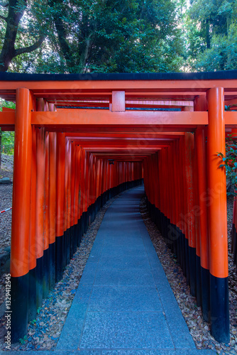 Obraz na płótnie Torii gates of Fushimi Inari Taisha shrine in Kyoto, Japan w salonie