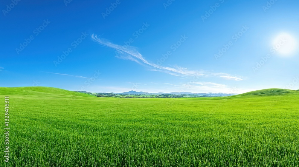 Green field with blue sky and sunny weather depicted Green field with blue sky and sunny weather depicted