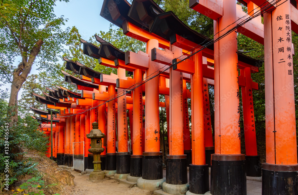Torii gates of Fushimi Inari Taisha shrine in Kyoto, Japan