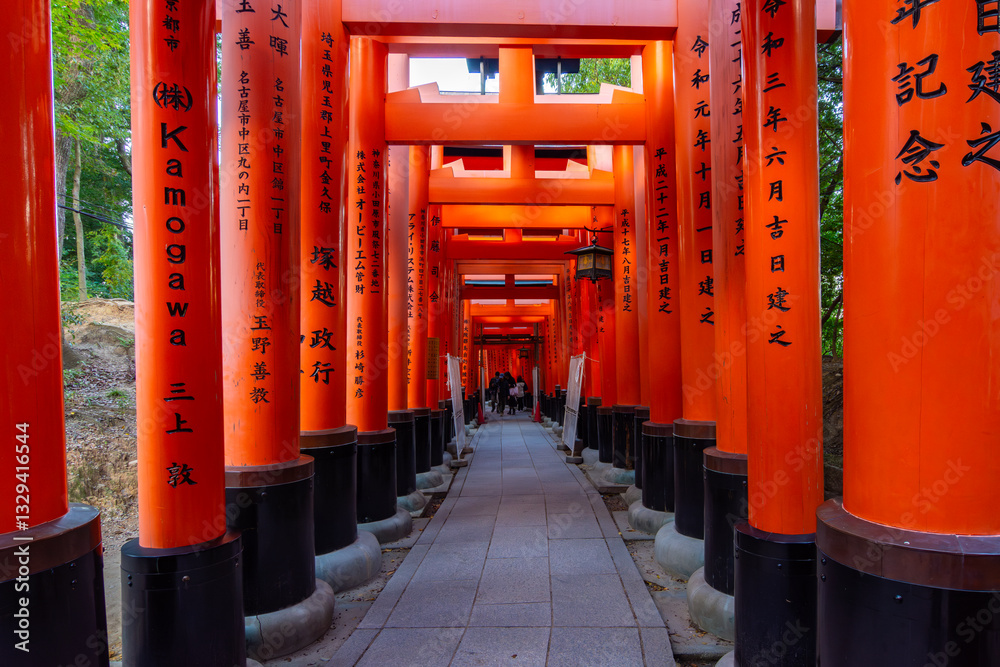 Torii gates of Fushimi Inari Taisha shrine in Kyoto, Japan