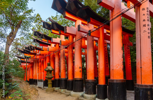 Obraz na płótnie Torii gates of Fushimi Inari Taisha shrine in Kyoto, Japan w salonie