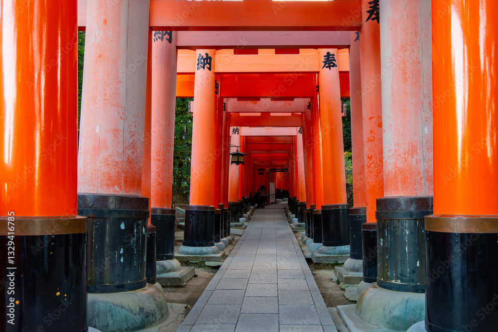 Torii gates of Fushimi Inari Taisha shrine in Kyoto, Japan