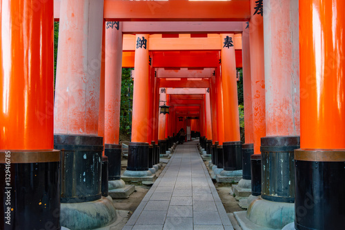 Obraz na płótnie Torii gates of Fushimi Inari Taisha shrine in Kyoto, Japan w salonie