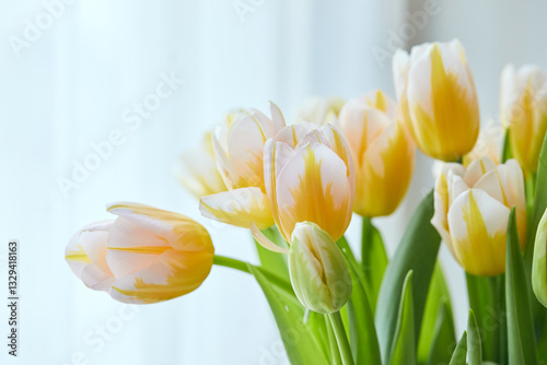 Wallpaper Mural Bouquet of white and yellow tulips in a vase on the window. Delicate flowers for the holiday Torontodigital.ca