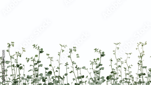 Close-up image of a row of small, delicate green wildflowers against a pure white background. The wildflowers are various heights, showing small blossoms and leaves. The image is sharply focused,