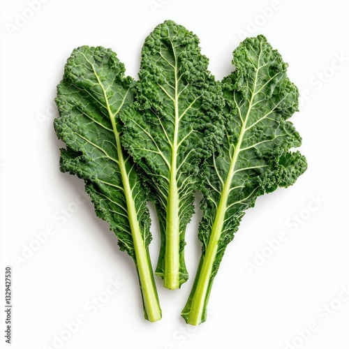 Fresh Curly Kale Leaves photo