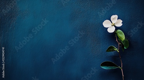 This image features a delicate white flower against a deep blue backdrop, symbolizing beauty, serenity, and natural elegance in an aesthetically pleasing frame.