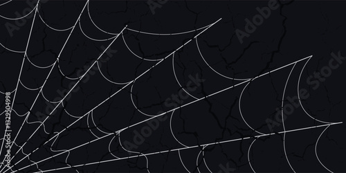 Spider web set isolated on dark background. Spooky Halloween cobwebs with spiders. Outline vector illustration