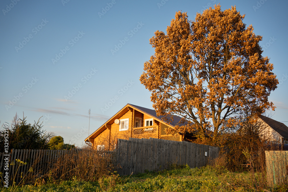 Obraz premium oak and house