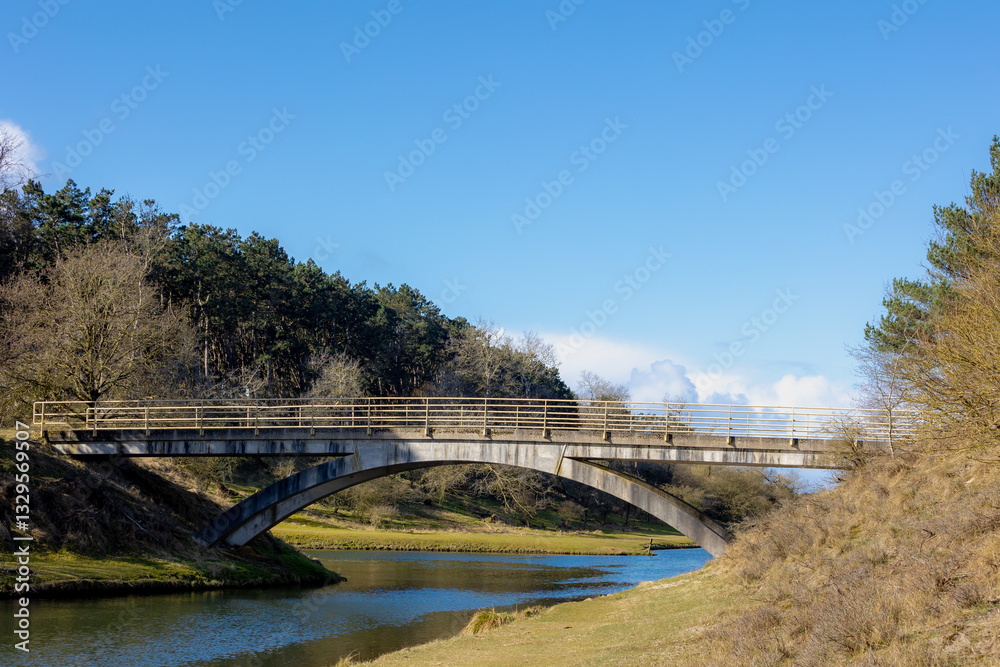 Obraz premium Early spring landscape, Concrete bridge crossing canal with blue sky in Amsterdamse Waterleidingduinen, Sand dune nature reserve with a trail in Bentveld, Dutch province of North Holland, Netherlands.