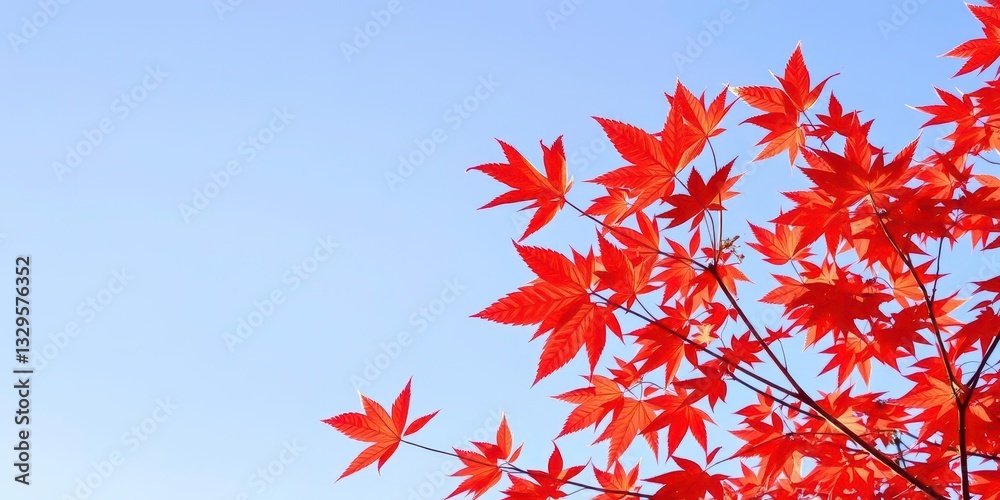 Vibrant Red and Orange Autumn Leaves Against a Soft Blue Sky, Bringing Brightness to the Fall Season Vibrant Red and Orange Autumn Leaves Against a Soft Blue Sky, Bringing Brightness to the Fall Season