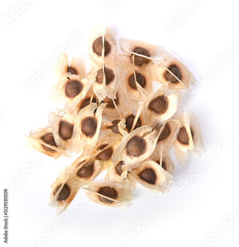 Moringa Oleifera seed isolated with white background. Top view