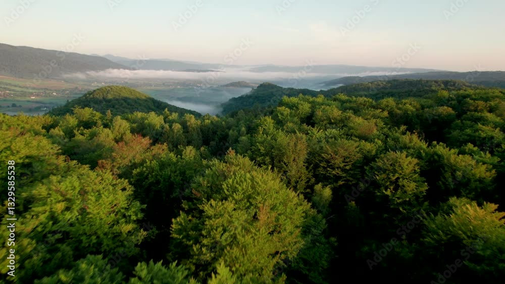 Aerial view of lush, green landscape blanketed in early morning mist. Rolling hills covered in dense forest stretch into distance, while valley below is dotted with small houses. Aerial view of lush, green landscape blanketed in early morning mist. Rolling hills covered in dense forest stretch into distance, while valley below is dotted with small houses.