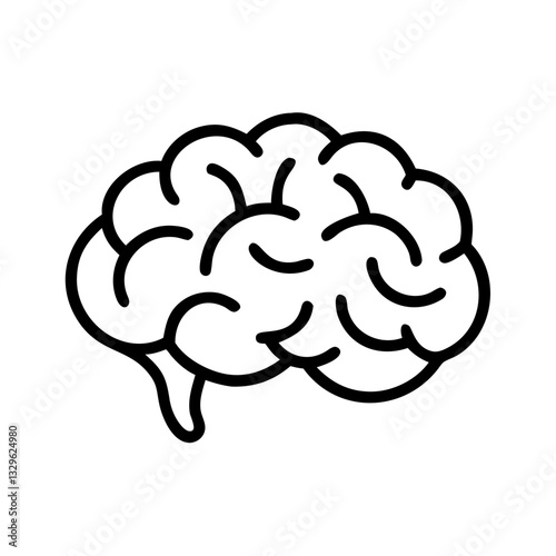 brain