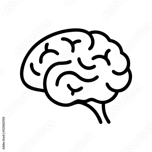 brain