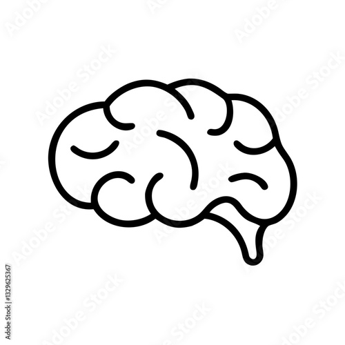 brain