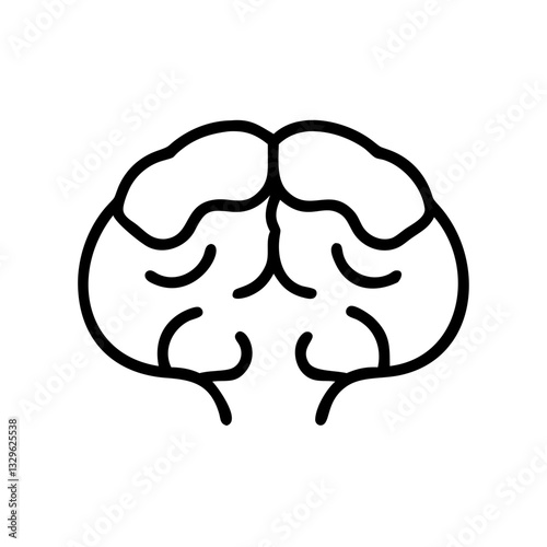 brain