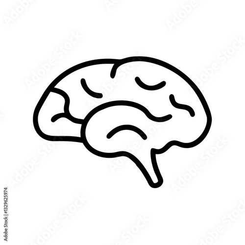 brain