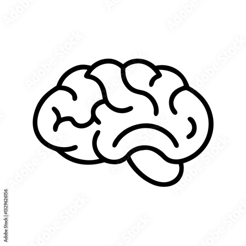 brain