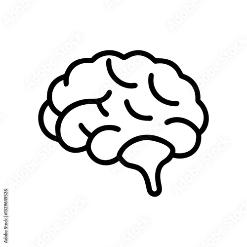 brain
