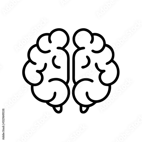 brain