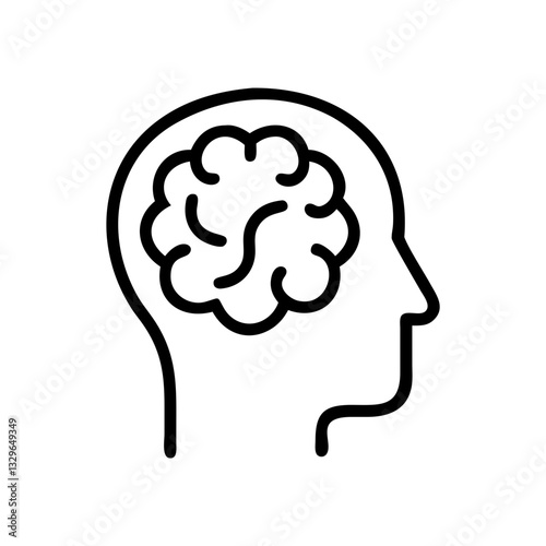 brain