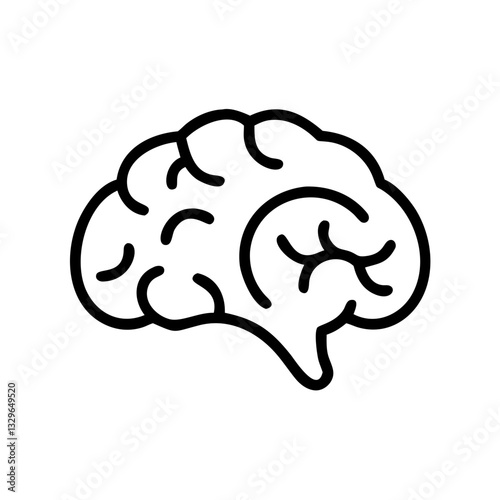 brain