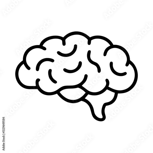 brain