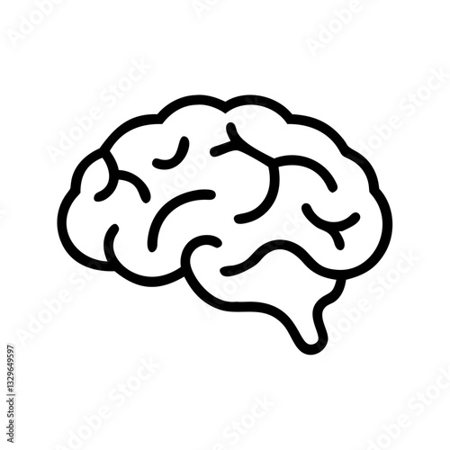 brain