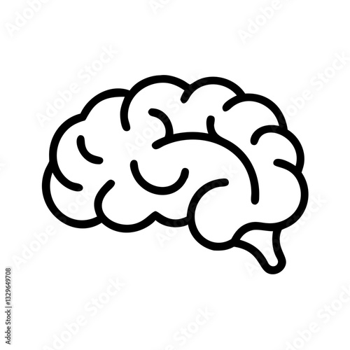 brain