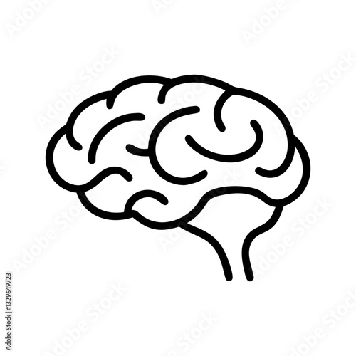 brain