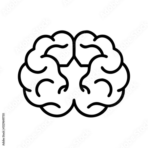 brain
