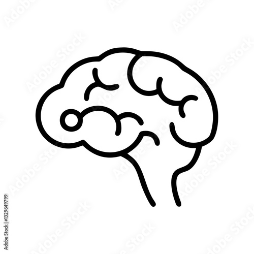 brain
