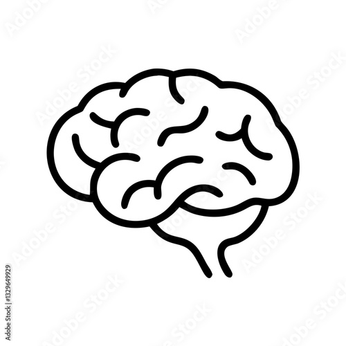 brain