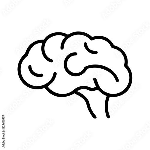 brain