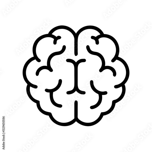 brain